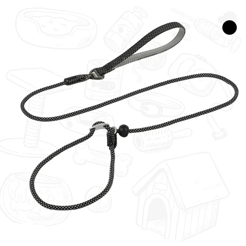 Laisse de dressage 2-en-1 avec collier étrangleur intégré pour petits chiens 150cm