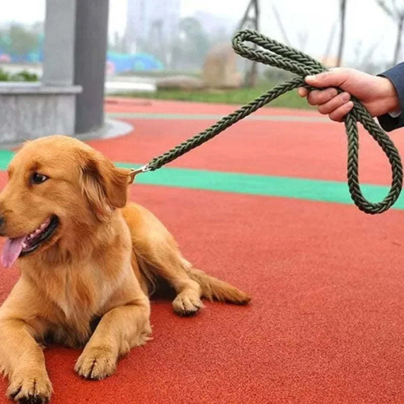 Ensemble laisse et collier pour chien avec gilet harnais