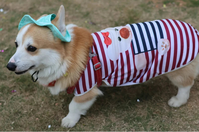Striped Summer Cooling Vest Shirt for Dogs | Casual Breathable Top for Small to Large Breeds