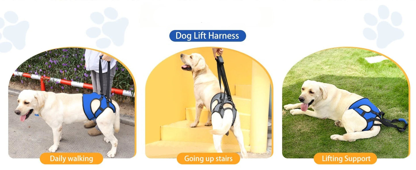 Hind Leg Support Dog Sling for Large & Senior Dogs | Adjustable Mobility Aid