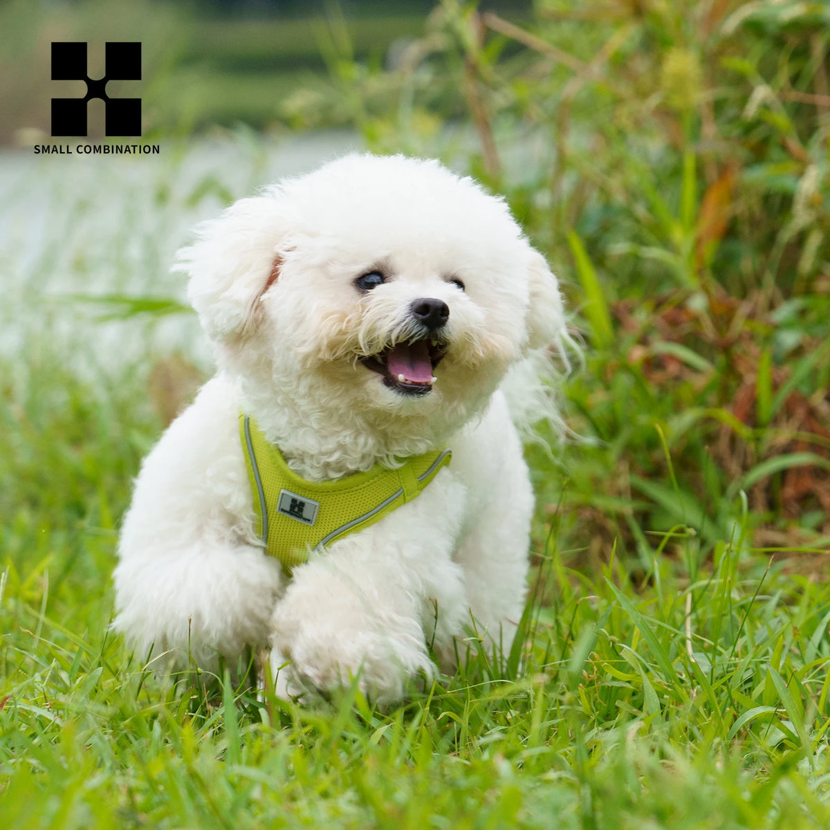 Reflective Dog & Cat Harness with Leash Set