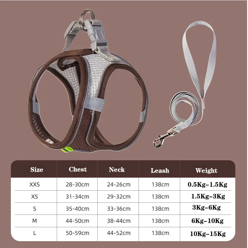 Small Dog Harness and Leash Set