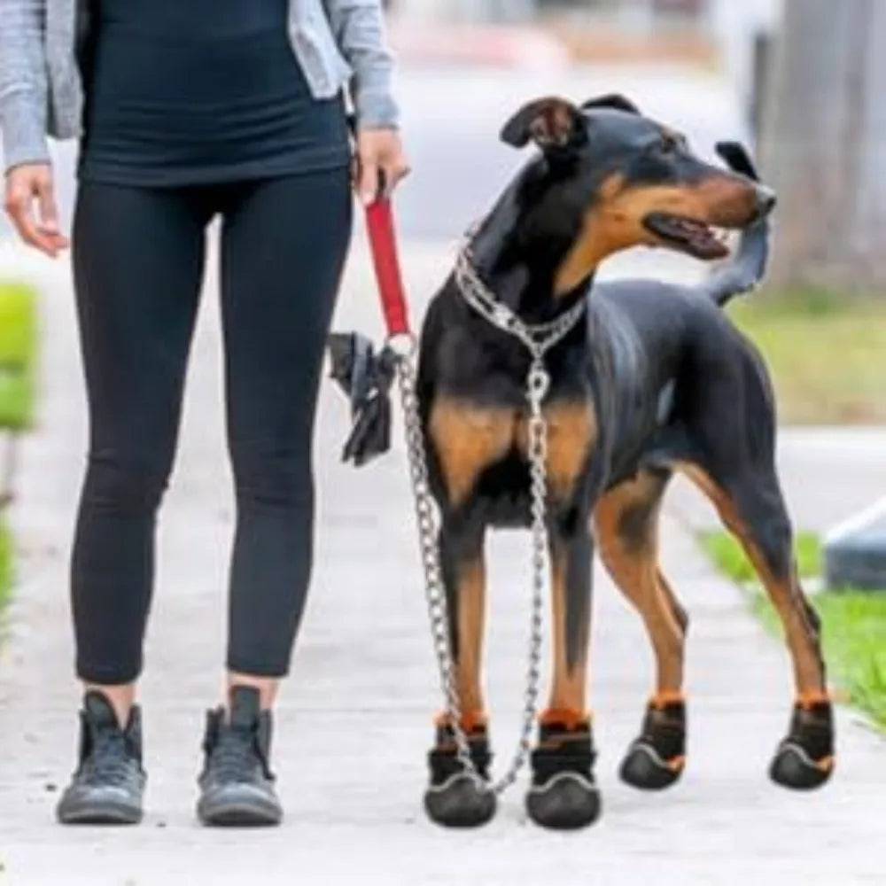 Breathable High-Cut Dog Boots for Hot Pavement & Summer Hiking | Set of 4