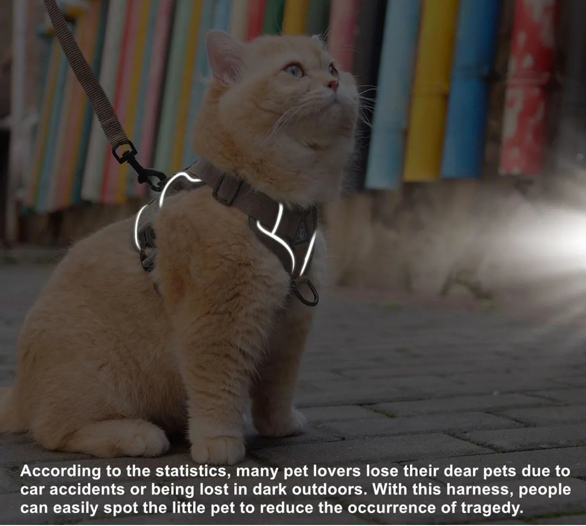 Adjustable Cat Vest Harness and Leash Set - Reflective Trim for All Sizes