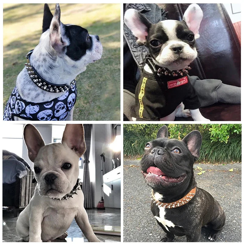 PU Leather Punk Rivet Spiked Collar for Small Dogs & Cats