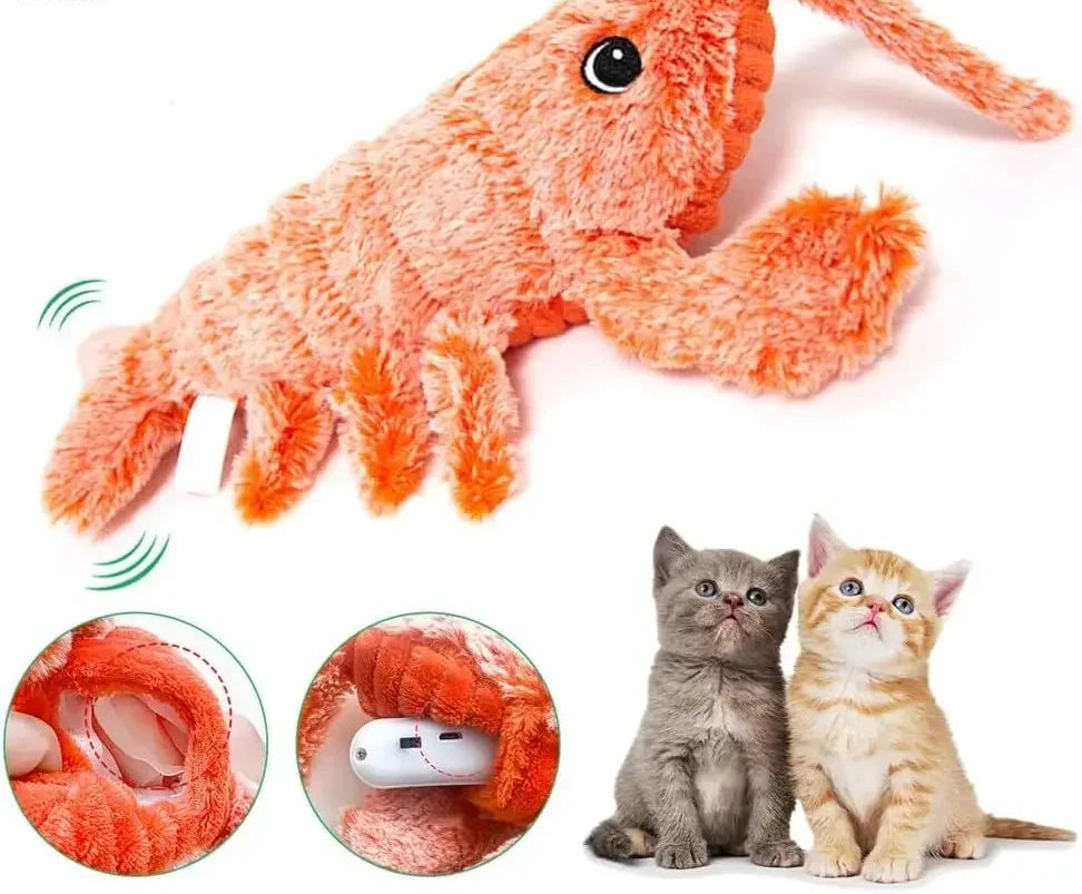 Jouet interactif électrique sauteur pour chat avec herbe à chat