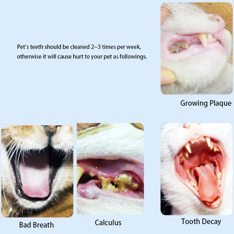 Ensemble de brosses à dents à doigt pour animaux (5 pièces)