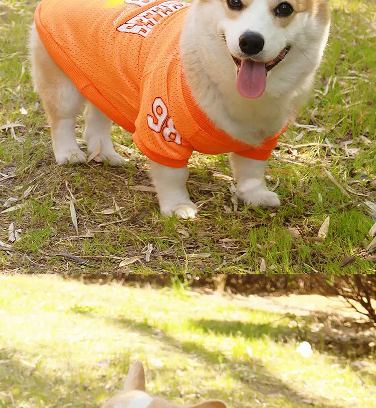 LA Style Dog Cooling Vest | Summer Breathable Shirt for Small to Large Dogs