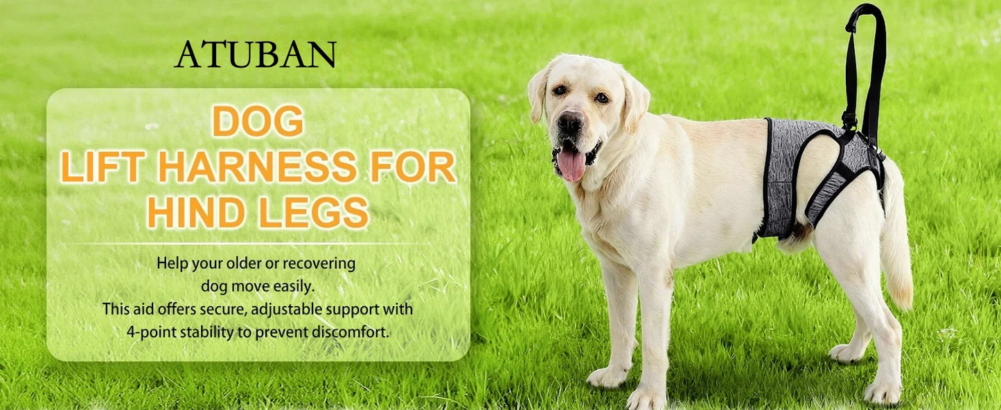 Hind Leg Support Dog Sling for Large & Senior Dogs | Adjustable Mobility Aid