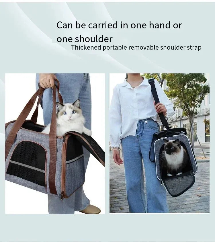 Foldable Pet Travel Carrier