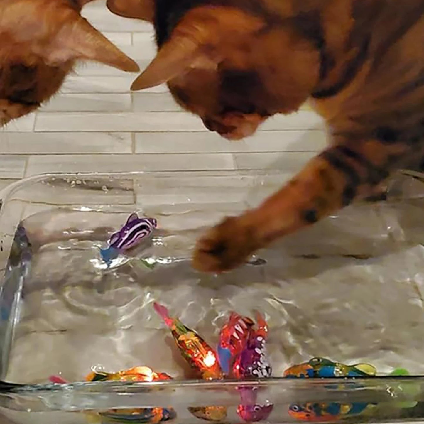 LED Electronic Swimming Fish Toy - Waterproof Interactive Pet Toy