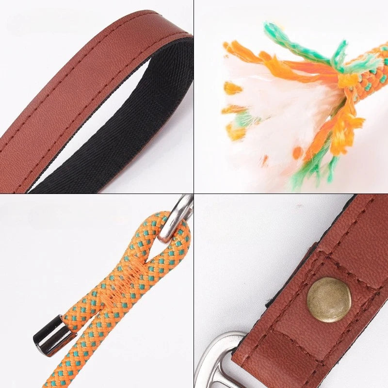 Laisse-collier étrangleur anti-nœuds réglable pour petits chiens