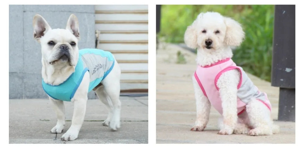 Reflective Cooling Vest for Dogs & Cats
