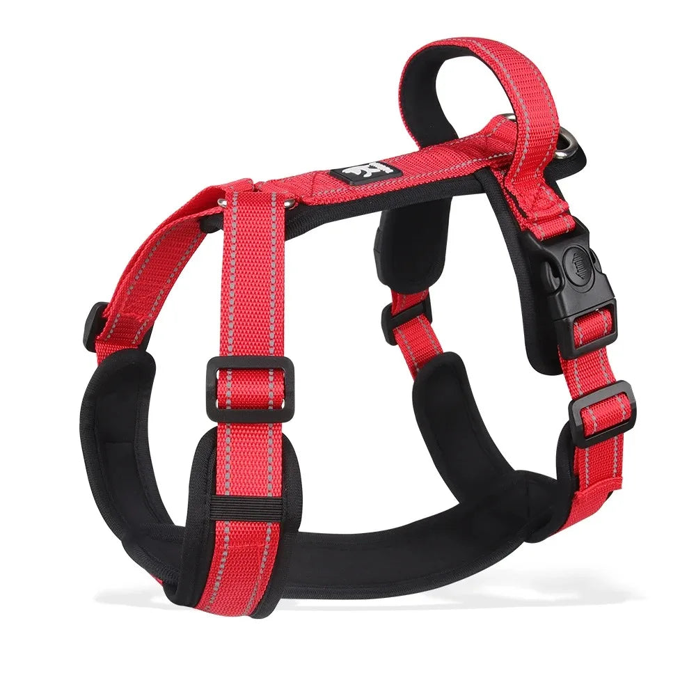 Ensemble Harnais et Collier Professionnel pour Dressage de Chien
