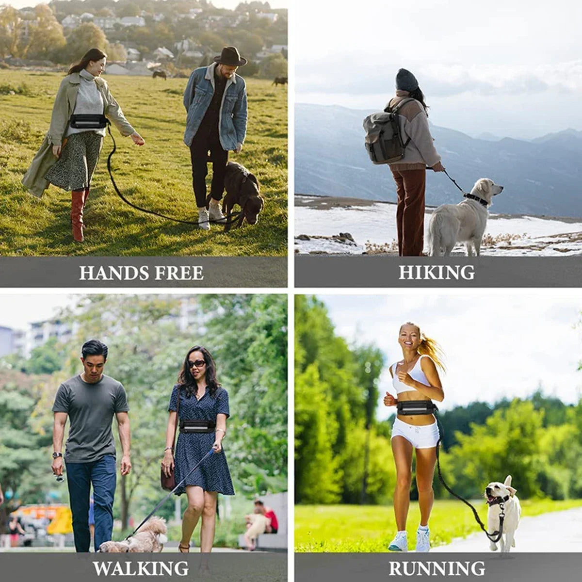 Laisse pour chien mains libres avec ceinture réfléchissante et pochette de rangement