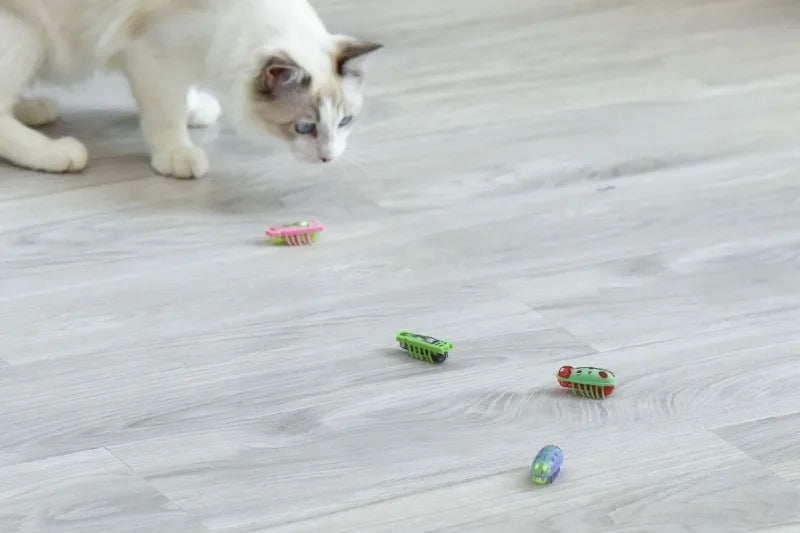 Electronic Cat Bug & Mouse Toys