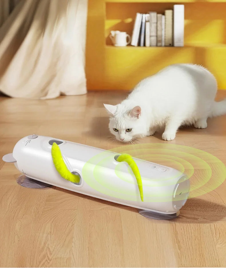 Interactive Caterpillar Cat Toy