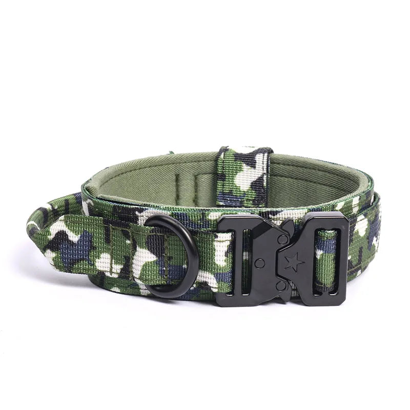 Durable Nylon Dog Collar & Leash Set for Large Dogs