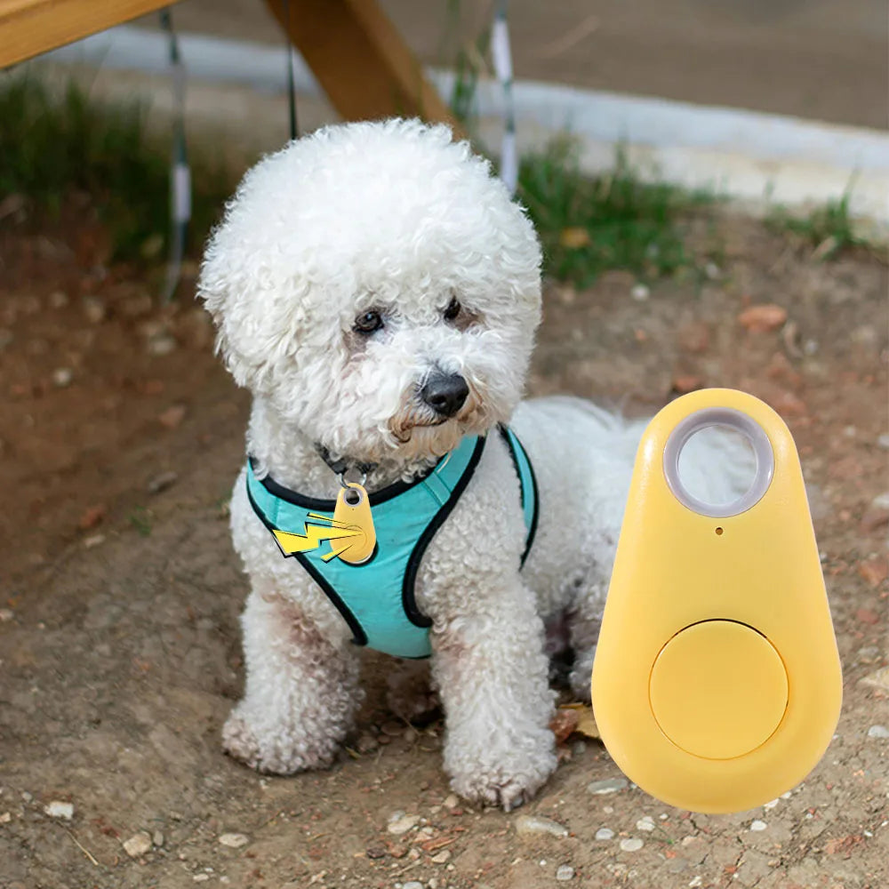 Bluetooth 5.0 Anti-Lost Tracker Tag for Pets, Kids & Valuables