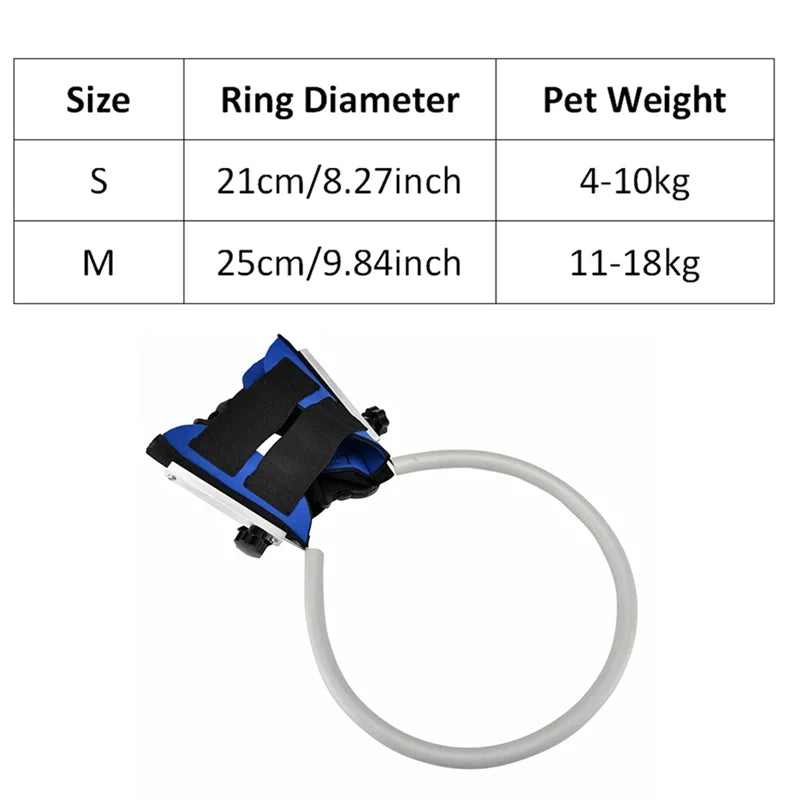 Anti-Collision Halo Collar for Blind & Visually Impaired Dogs