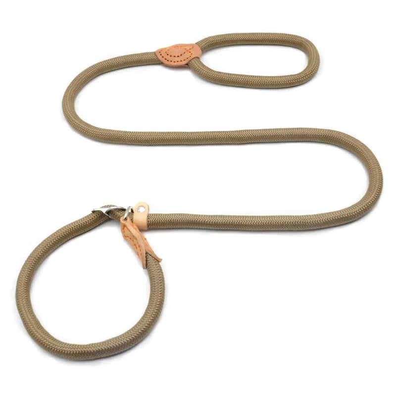 Laisse-collier chien - Corde tressée robuste avec boucle réglable pour grands chiens