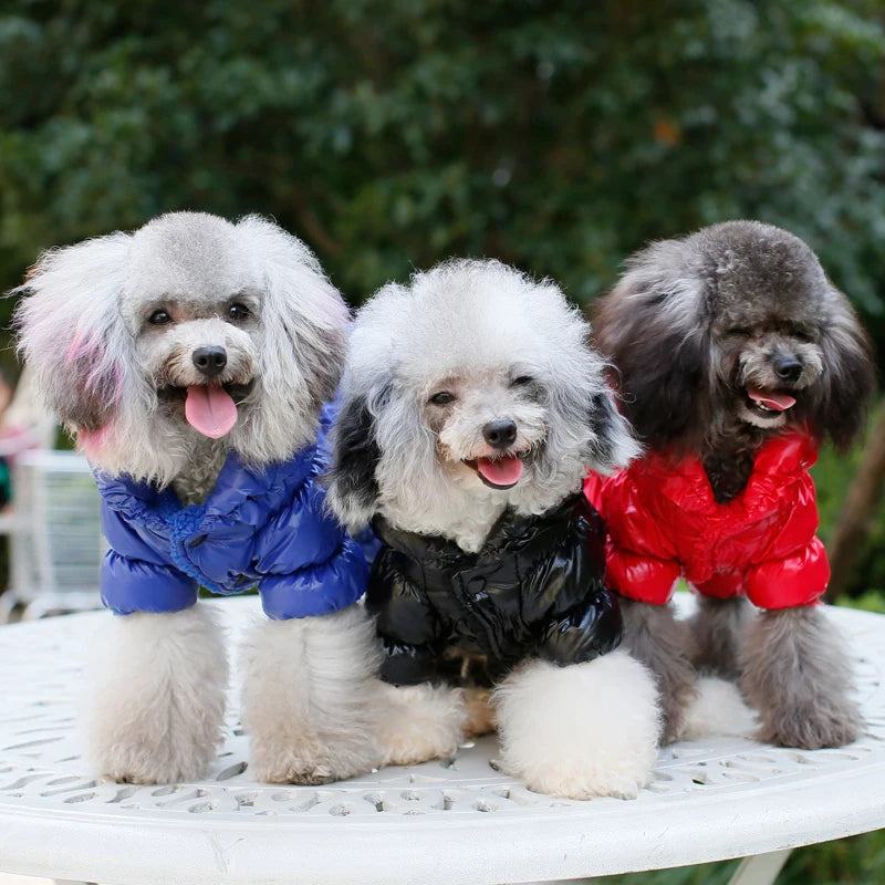Winter Down Jumpsuit for Small Dogs | Padded All-in-One Dog Coat