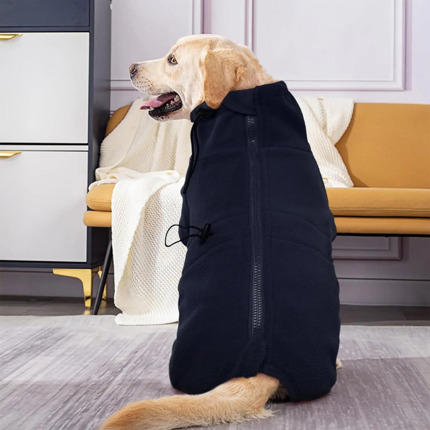 Manteau d'hiver pour chien - Veste coupe-vent en polaire douce pour temps froid