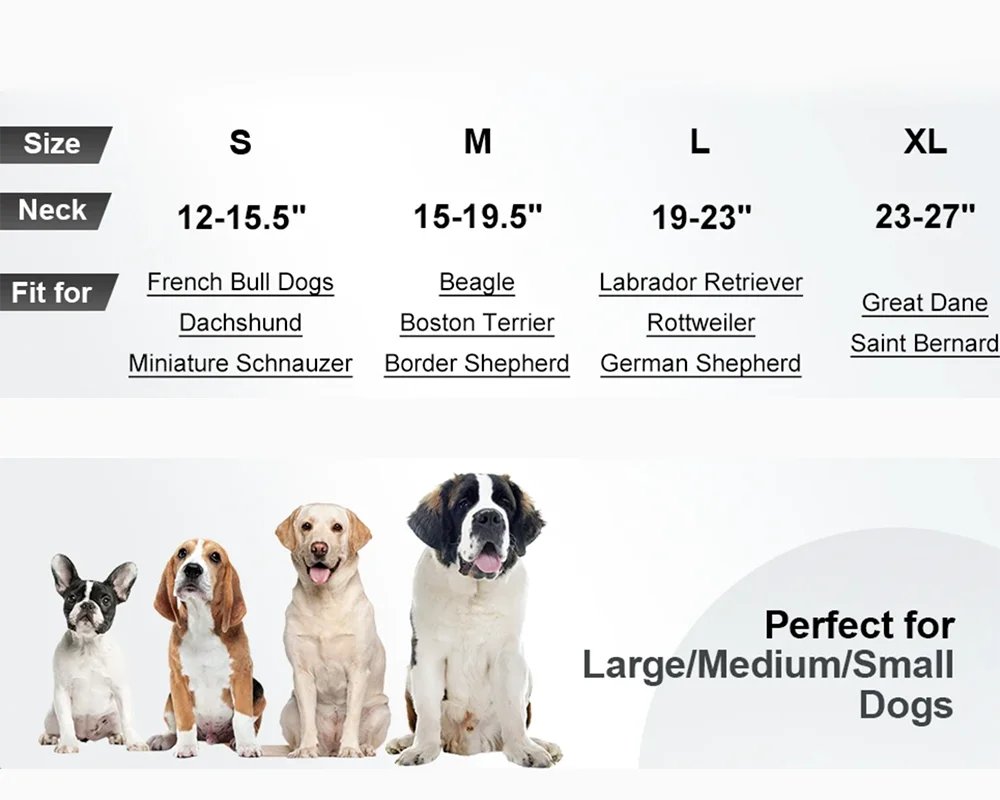 Padded Reflective Nylon Dog Collar – Adjustable for Small, Medium & Large Dogs