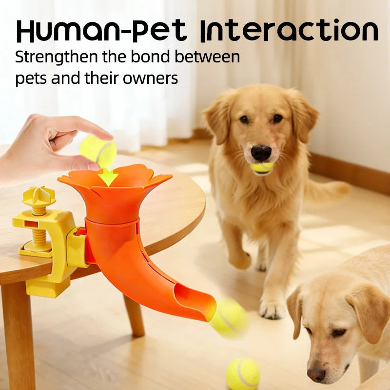Interactive Dog Ball Trainer Toy