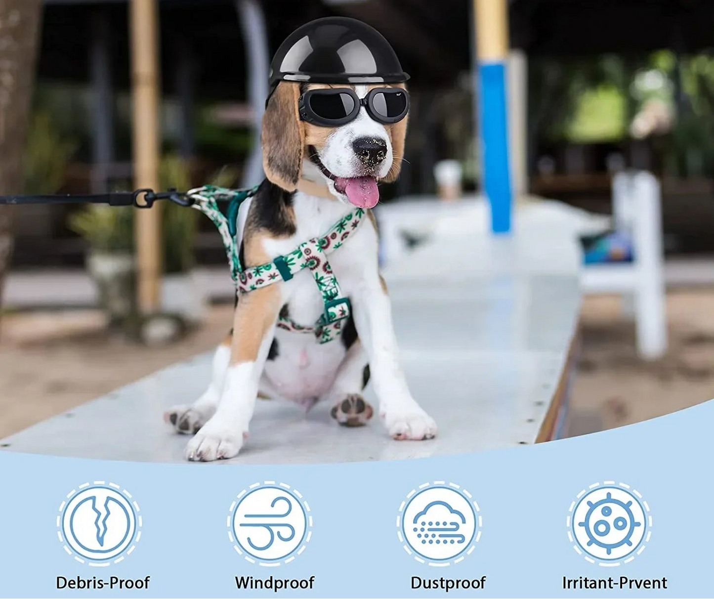 Dog Helmet & Goggles Set - UV Protection Sunglasses for Small Dogs