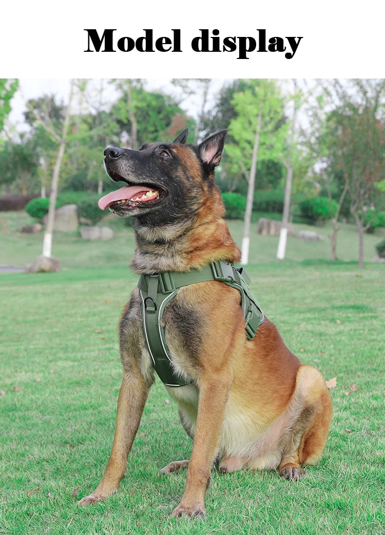 Harnais tactique respirant pour chien avec boucle à dégagement rapide
