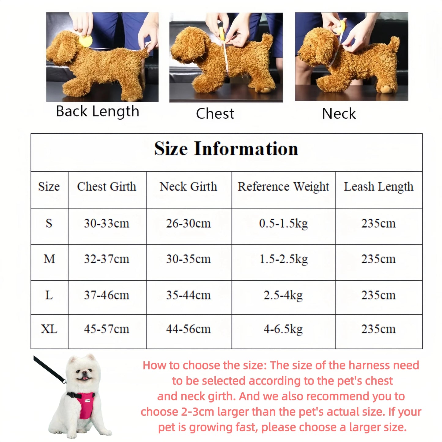 Breathable Vest Harness & Leash Set for Small Dogs