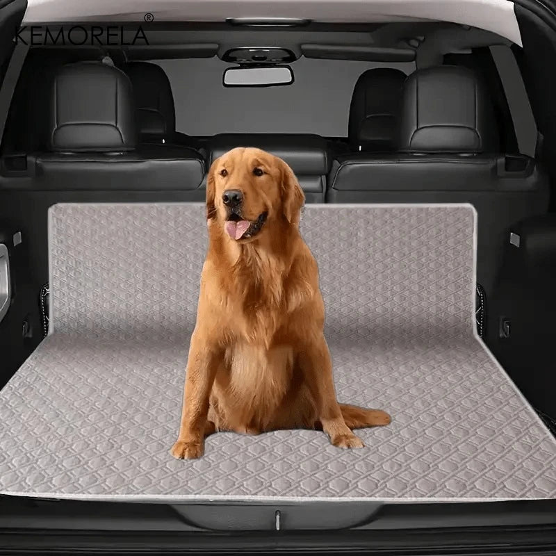 Washable Puppy Training Pads — Pack of 2