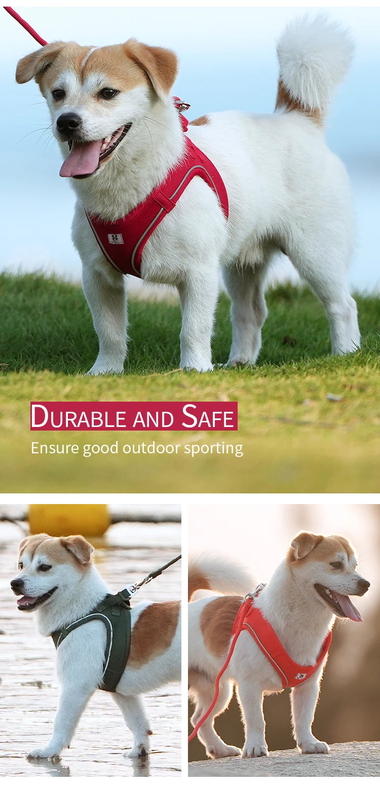 Reflective Dog & Cat Harness with Leash Set