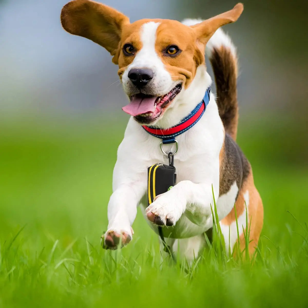 Dog Poop Bag Dispenser - Waste Bag Carrier for Dog Walking