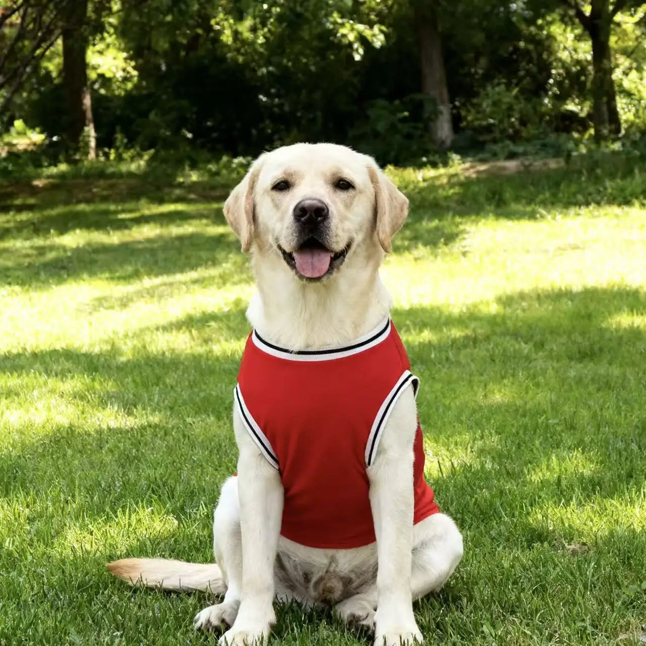 Maillot de refroidissement en maille pour chien de basket-ball de Chicago | Haut d'été respirant pour chiens de taille moyenne et grande