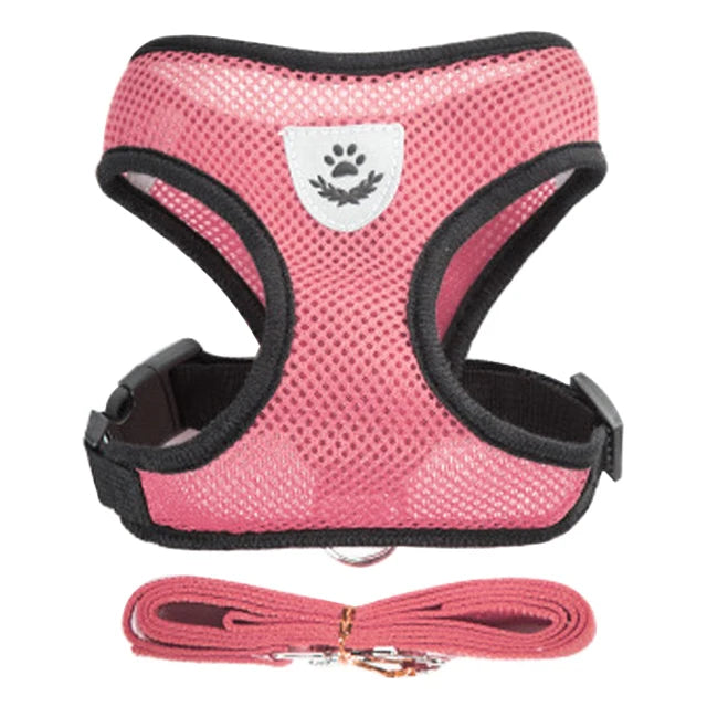 Breathable Mesh Vest Harness & Lead Set for Small to Medium Cats and Dogs