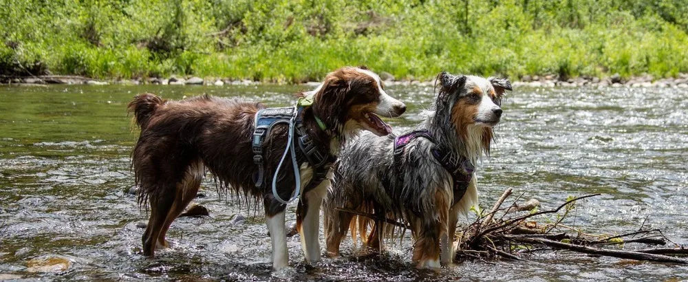 No-Pull Tactical Dog Harness with Reflective Strips
