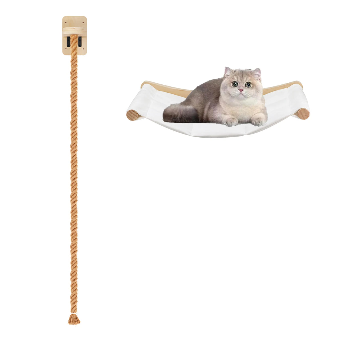 Wall-Mounted Cat Climbing Furniture & Hammocks