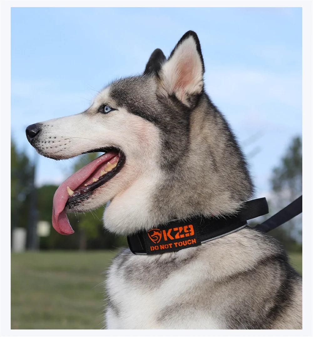 Padded Reflective Tactical Dog Collar for Medium & Large Dogs