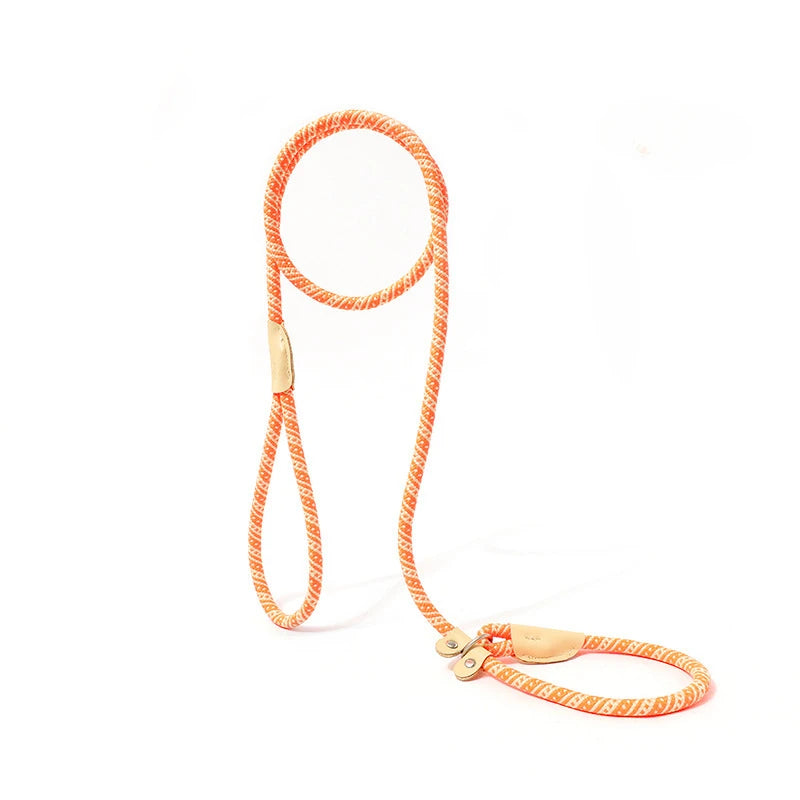 Ensemble laisse et harnais réglables en nylon pour chien