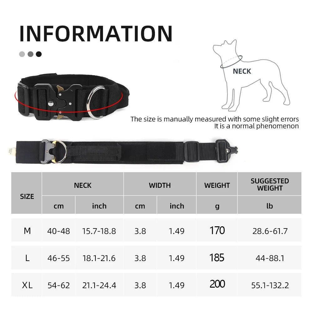 Ensemble complet collier et harnais pour chien avec laisse