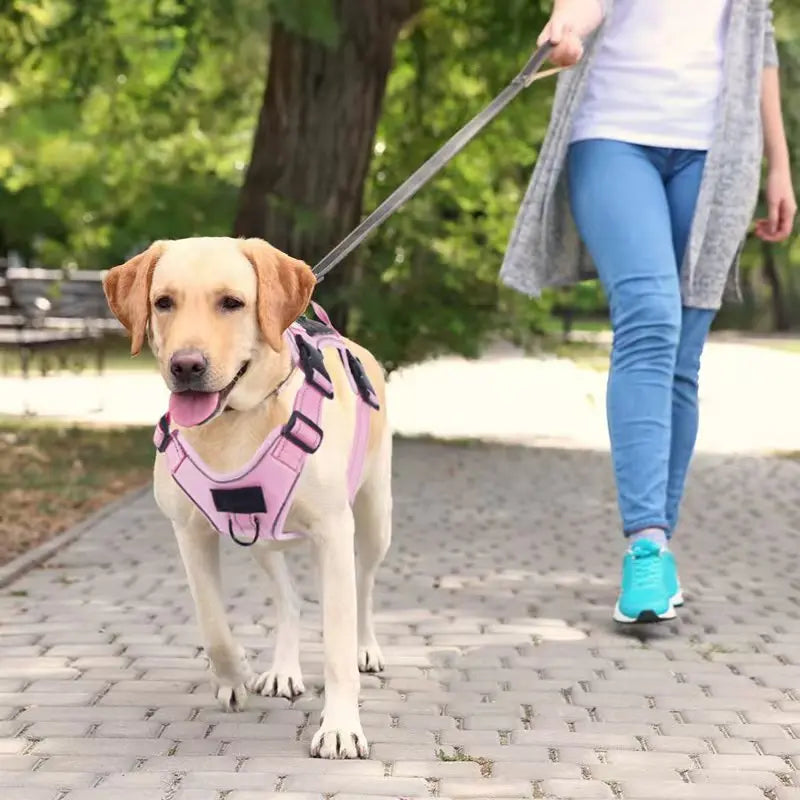 Harnais pour chien anti-traction avec protection en silicone pour traceur GPS