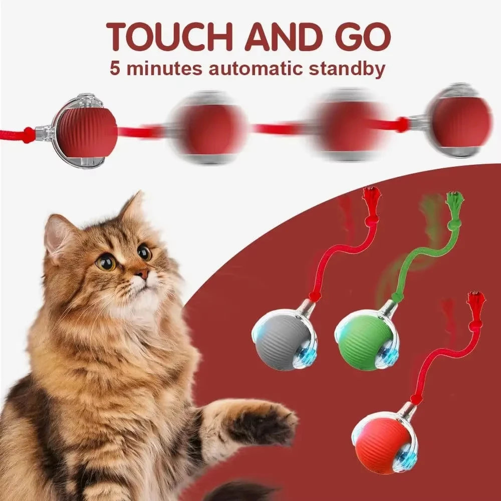 Interactive Self-Moving Cat Toy Ball