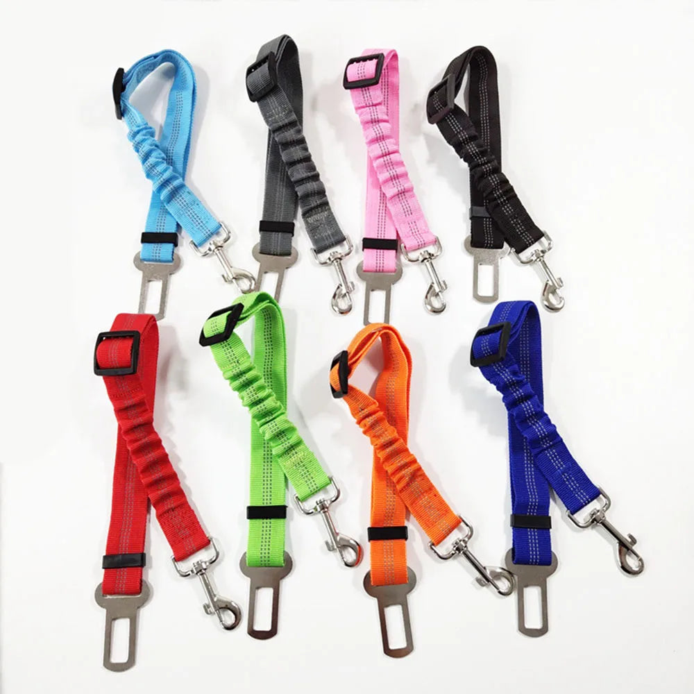 Ceinture de sécurité rétractable pour chien avec bande réfléchissante