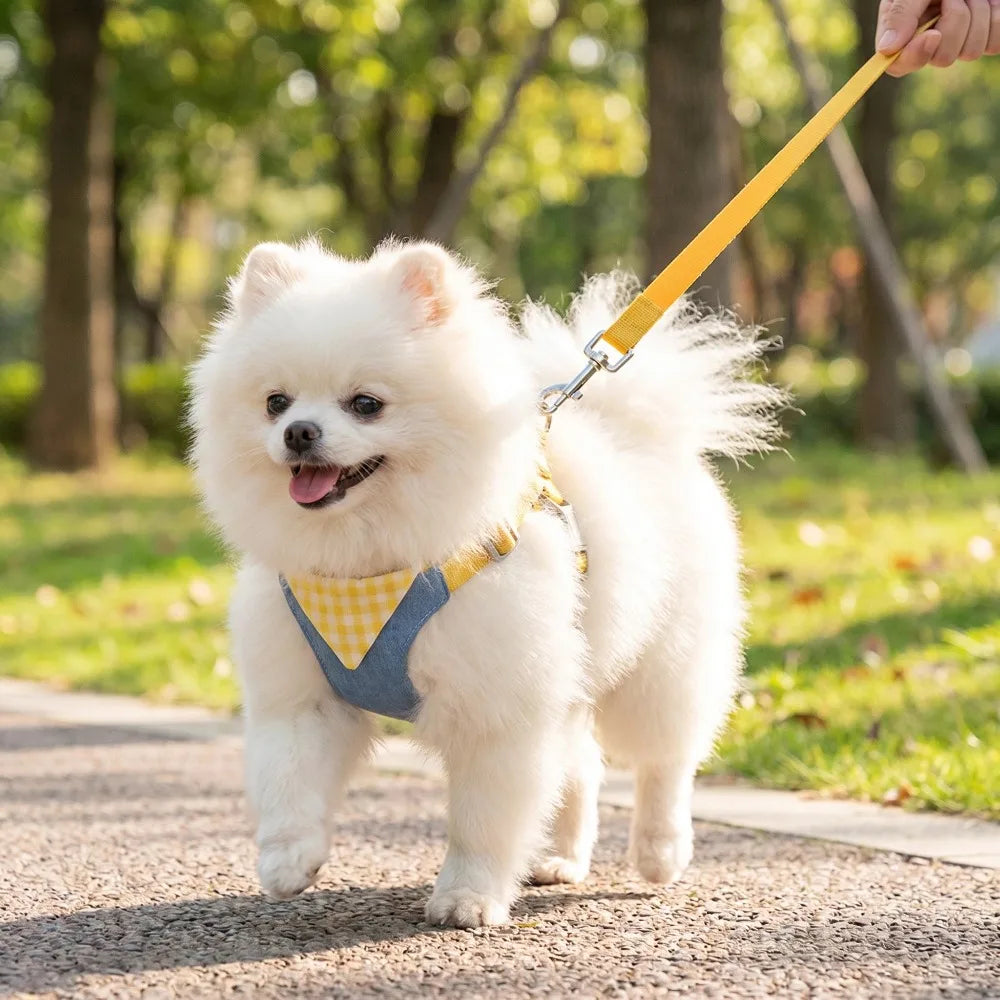 Denim No-Pull Harness & Leash Set for Dogs & Cats