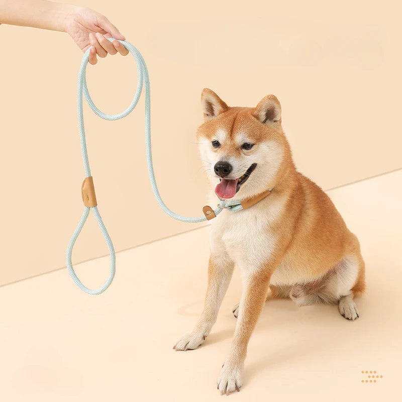 Ensemble laisse et harnais réglables en nylon pour chien