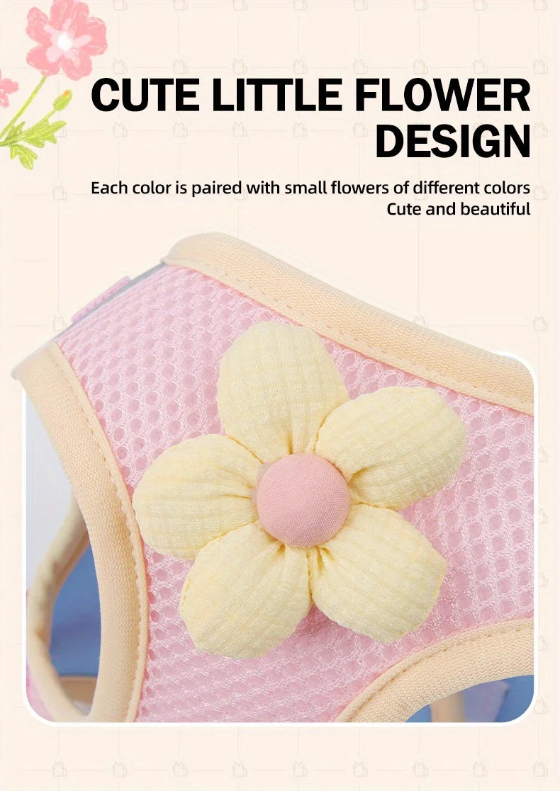 Breathable Mesh Pet Harness and Leash Set