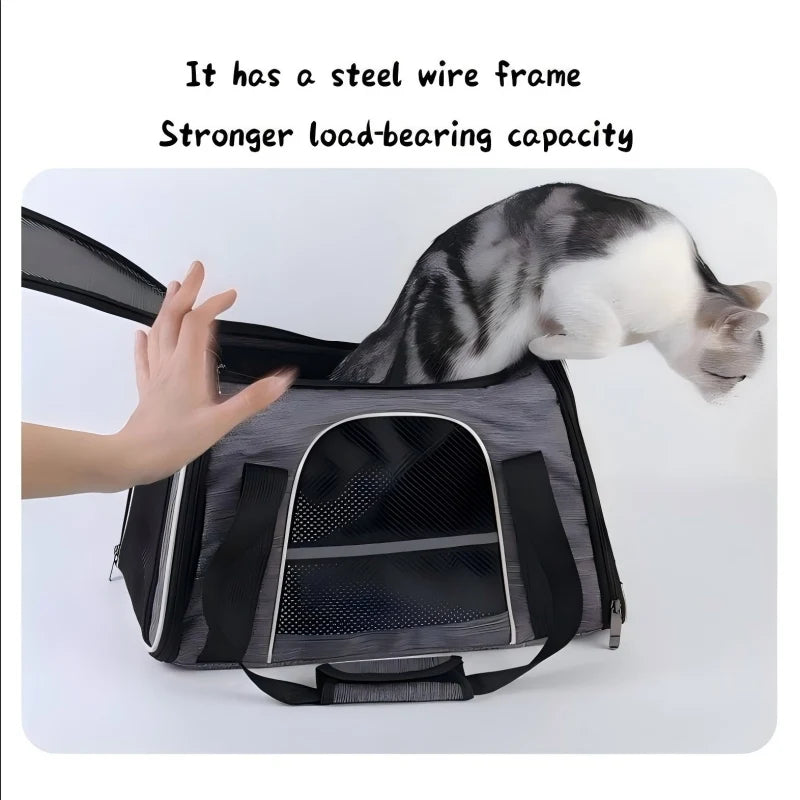 Foldable Pet Travel Carrier