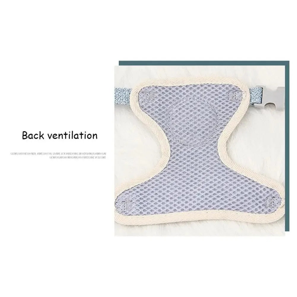 Adjustable Harness & Collar for Kittens and Small Pets